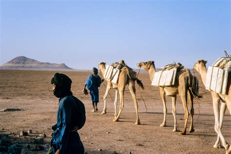 La migrazione kanuri: Un'incursione militare verso la terra di Bornu e l'emergere del Regno Kanem-Bornu